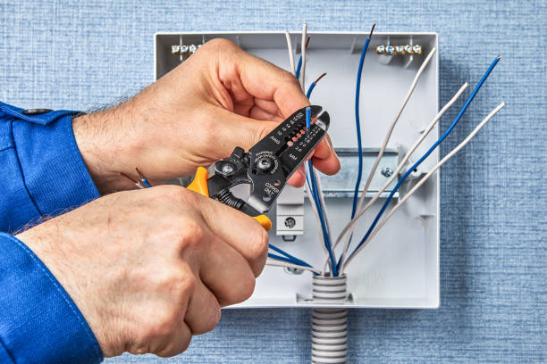 Best Electrical Panel Upgrades  in Riverside, MD